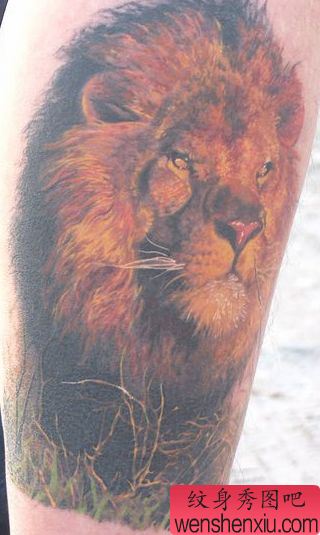 狮子纹身图案:腿部彩色狮子头像纹身图案