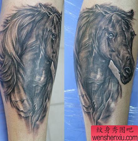 动物纹身图案：腿部马纹身图案