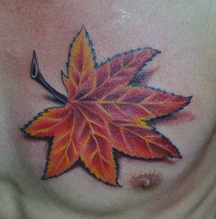 枫叶纹身图案：胸部彩色枫叶纹身图案