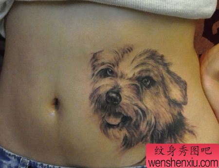 腹部纹身图案:腹部小狗纹身图案