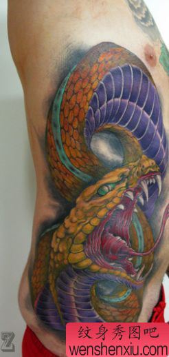 蛇纹身图案:腰部彩色传统蛇纹身图案