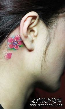 头部纹身图案:耳部彩色樱花纹身图案