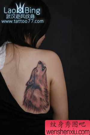 狼纹身图案:美女肩部狼头纹身图案