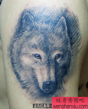 狼纹身图案:手臂狼头纹身图案