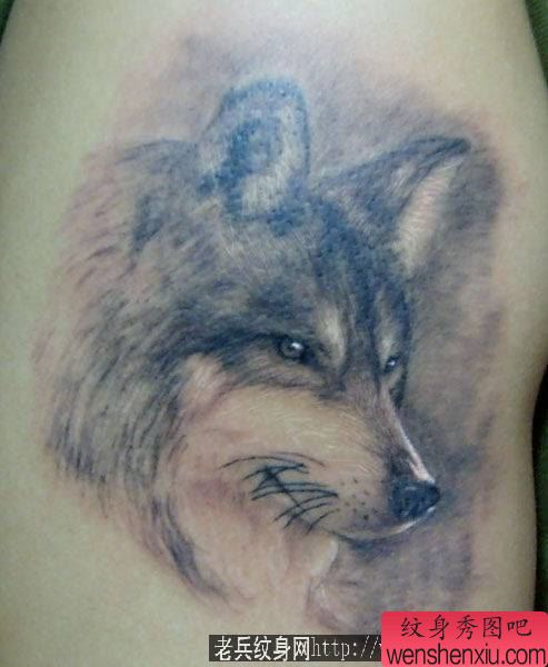 狼纹身图案:一幅帅气的手臂狼头纹身图案