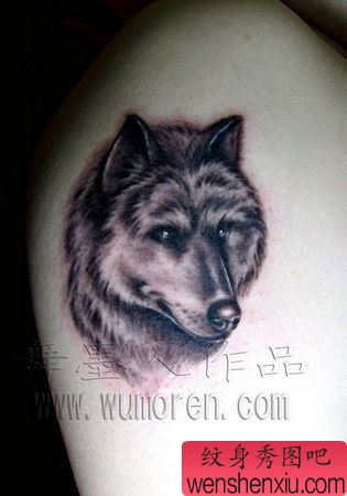 狼头纹身图案:手臂狼头纹身图案