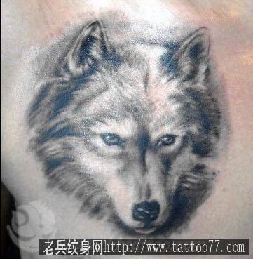 狼纹身图案:一幅流行经典肩部狼头纹身图案