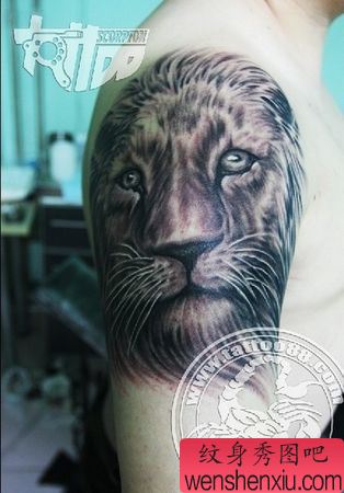 狮子纹身图案:手臂狮子纹身图案