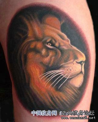 狮子纹身图案:腿部彩色狮子狮子头纹身图案