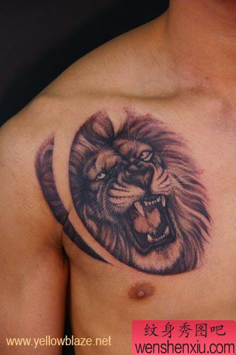 狮子纹身图案:胸部狮子狮子头纹身图案