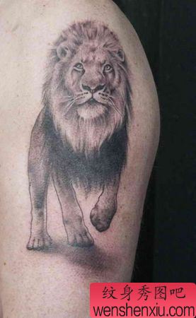 狮子纹身图案:经典帅气手臂狮子纹身图案