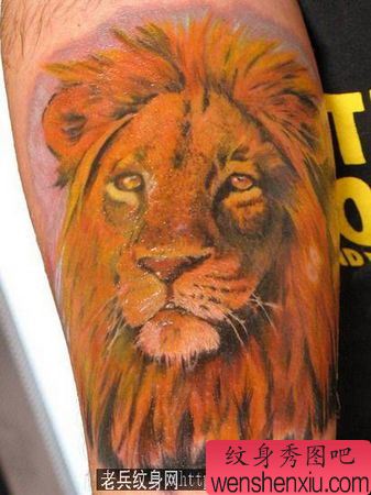 狮子纹身图案：一幅腿部彩色狮子头纹身图案
