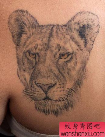 狮子纹身图案:美女肩部狮子狮头纹身图案
