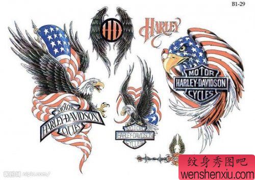 老鹰纹身图案:老鹰翅膀纹身图案