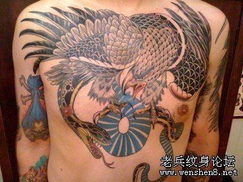 老鹰纹身图案:胸部老鹰蛇纹身图案