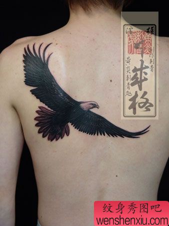 老鹰纹身图案:肩部老鹰纹身图案