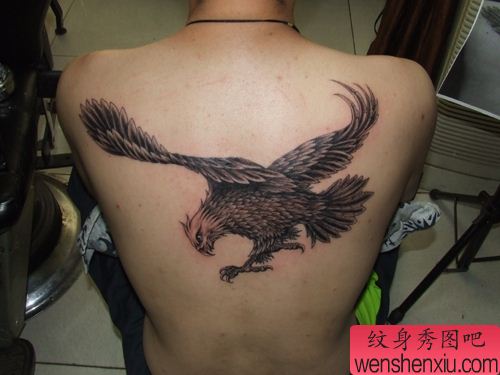 老鹰纹身图案:背部老鹰纹身图案