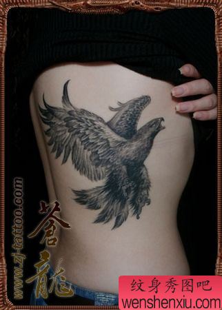 老鹰纹身图案:腰部老鹰纹身图案