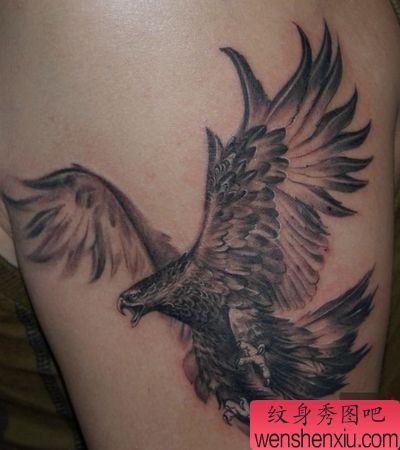 老鹰纹身图案:一幅手臂展翅老鹰纹身图案