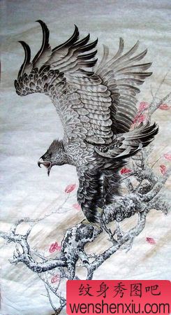 老鹰纹身图案：一幅雄鹰展翅纹身图案