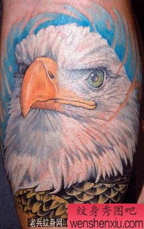 老鹰纹身图案:彩色老鹰纹身图案