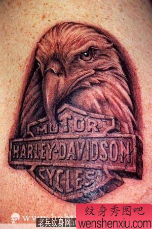 老鹰纹身图案:经典流行手臂老鹰头像地裂文字纹身图案