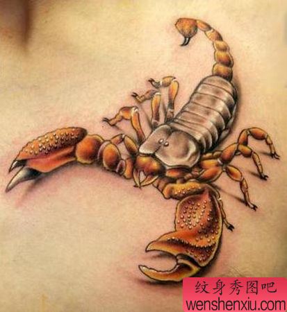 蝎子纹身图案:胸部彩色蝎子纹身图案