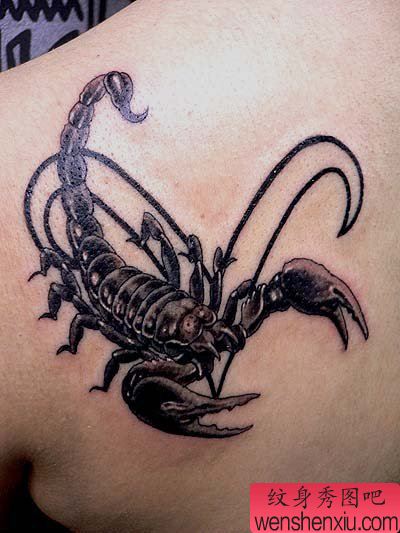 蝎子纹身图案：一幅肩部蝎子纹身图案