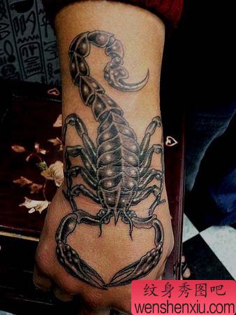 蝎子纹身图案:一幅手部手背蝎子纹身图案