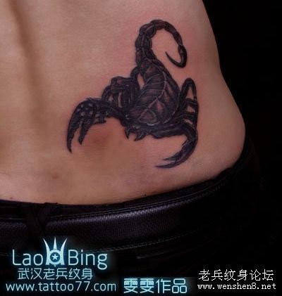 蝎子纹身图案：腰部蝎子纹身图案