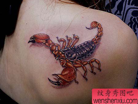 蝎子纹身图案:美女肩部彩色蝎子纹身图案
