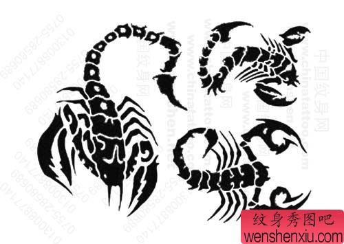 经典流行几款图腾蝎子纹身图案