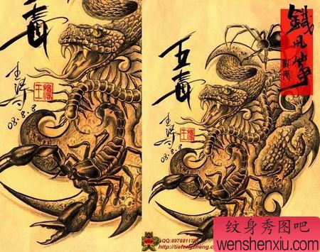 蝎子纹身图案:无毒蝎子纹身图案
