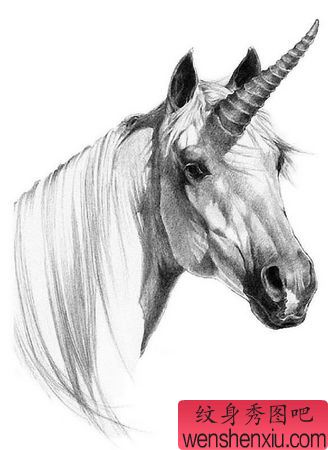 独角兽纹身图案:一幅独角兽纹身素材纹身图案