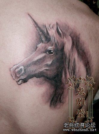 独角兽纹身图案:肩部黑灰素描独角兽纹身图案