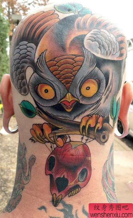 头部纹身图案:头部卡通猫头鹰纹身图案