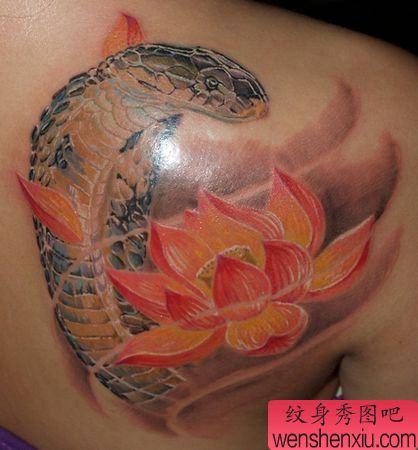肩部3D彩色蛇莲花纹身图案