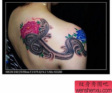 美女肩部蛇彩色牡丹花纹身图案