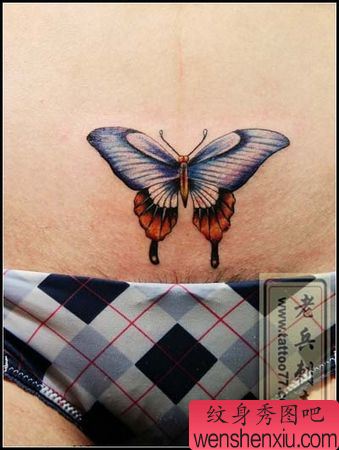 美女腹部彩色蝴蝶纹身图案