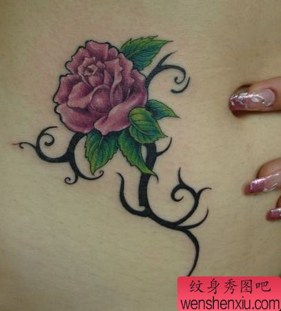 美女腹部彩色玫瑰花纹身图案