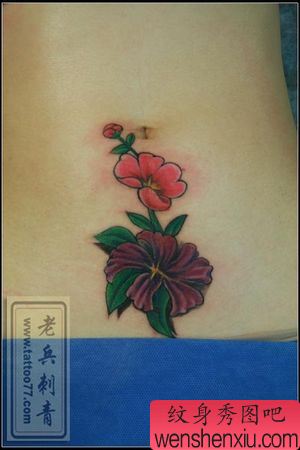 腹部纹身图案:美女腹部彩色花卉纹身图案