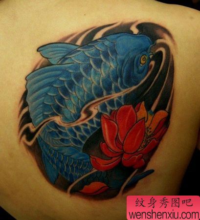 男性纹身图案:肩部彩色鲤鱼莲花纹身图案