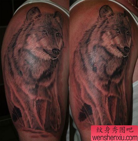 一幅手臂狼纹身图案