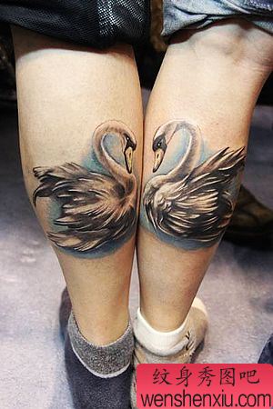 经典另类腿部情侣天鹅纹身图案
