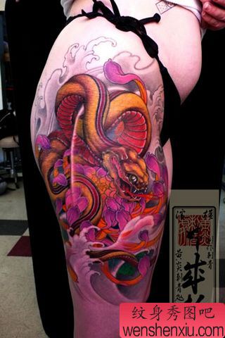 日本彩色蛇菊花纹身图案