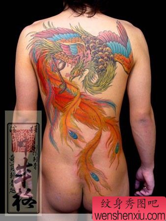 日本黄炎满背彩色凤凰纹身作品