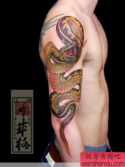 日本纹身师手臂彩色蛇纹身作品