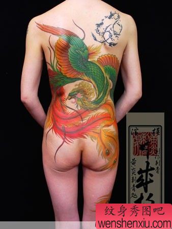 日本黄炎纹身美女满背凤凰纹身作品