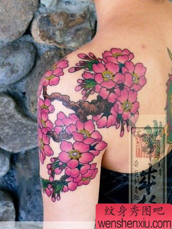 日本纹身师肩部彩色樱花纹身作品