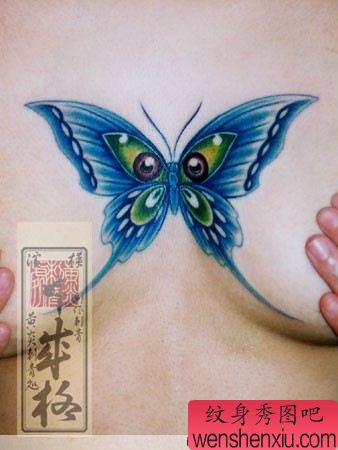日本纹身师美女胸部彩色蝴蝶纹身作品